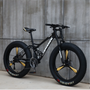 Hot Selling 26*4.0 Fat Tire Bike with 7-Speed 21 Speed 24" 26" Big Wide Alloy Wheel Steel Fork Snow Fat Tire Bike on Sale