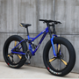 Hot Selling 26*4.0 Fat Tire Bike with 7-Speed 21 Speed 24" 26" Big Wide Alloy Wheel Steel Fork Snow Fat Tire Bike on Sale