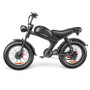 2000w E Fixie Road Ebike E-bike Electric Cycle Bicycle for Men Mountain Bike