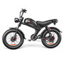 2000w E Fixie Road Ebike E-bike Electric Cycle Bicycle for Men Mountain Bike