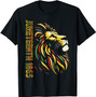 Free Shipping Juneteenth Lion Black African June 19th Solid Blank Unisex 100%Cotton Short Sleeve O-Neck T-Shirt for Men Eco