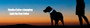 New Led Luminous Dog Collar PVC Waterproof , For Large Medium Small Dogs Collar Usb Light Night Safety Pet Glowing Accessories