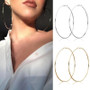 2pcs 30-100mm Small Big Circle Hoop Earrings for Women Men, Stainless Steel Ear Ring Fashion Jewelry Gift Nightclub DJ