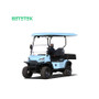 Golf Cart New Design Factory Price 2 4 6 8 Seater  Customized 2 Seats Electric Mini Truck Loading Transporting Goods