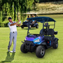 Golf Cart New Design Factory Price 2 4 6 8 Seater  Customized 2 Seats Electric Mini Truck Loading Transporting Goods