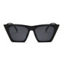 Fashion Square Sunglasses Woman Designer Luxury Man/Woman Cat Eye Sun Glasses Classic Vintage UV400 Outdoor Oculos De Sol