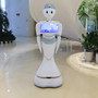 Commercial Reception Robots Robot Restaurant Restaurant Robots Reception Robot
