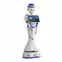 Commercial Reception Robots Robot Restaurant Restaurant Robots Reception Robot