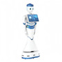 Commercial Reception Robots Robot Restaurant Restaurant Robots Reception Robot