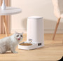 ROJECO 4L Automatic Pet Feeder Button Version Auto Cat Food Dispenser Accessories Smart Control Pet Feeder For Cats Dog Dry Food