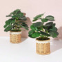 Fake Plants Artificial Potted Plants With Weaved Pot Table Desk Perfect for Home Office Bathroom Farmhouse Room Table Decor