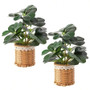 Fake Plants Artificial Potted Plants With Weaved Pot Table Desk Perfect for Home Office Bathroom Farmhouse Room Table Decor