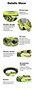 Professional Children Motocross Goggles Kids Motorcycle Glasses Kid MX MTB Off-Road Dirt Bike Child Goggles For MX Helmet