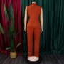 Fashion Sleeveless Women Spring Autumn High Waist Straight Wide Leg Jumpsuit