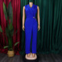Fashion Sleeveless Women Spring Autumn High Waist Straight Wide Leg Jumpsuit