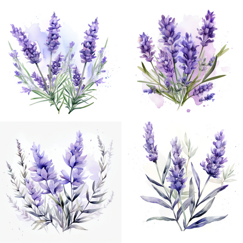 10 Pack Note Cards - Lavender 10 Pack Note Cards - Lavender