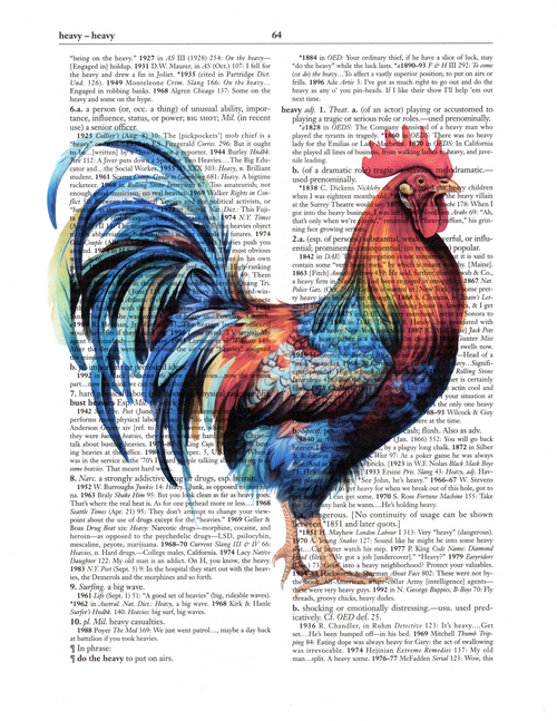 Dictionary Pics - Roo