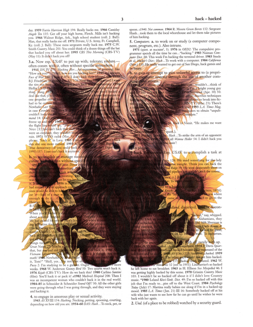 Dictionary Pics - Highland Calf Dictionary Pics - Highland Calf