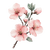 Cherry Blossoms - Various Sizes