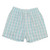 MINT PALAKA SHORTS