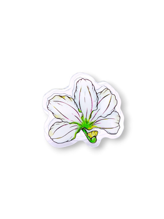 NAUPAKA ACRYLIC PAPER CLIP