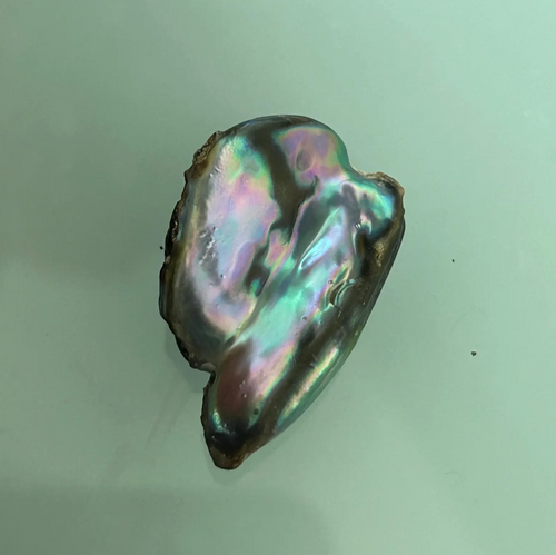 Natural Abalone Pearl – 32mm Baroque Gemstone with Iridescent Blue, Green, Pink, and Silver – For Pendant, Statement Jewelry, Collector Use