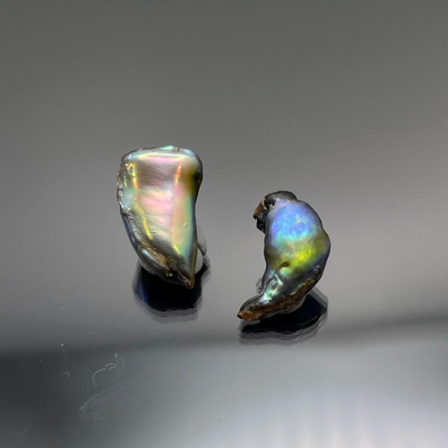 Natural Abalone Pearl (2pcs) - High Luster Green-Blue — Undrilled, Collector Gem