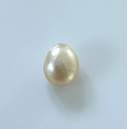 Natural Golden Oyster Pearl | Pinctada Maxima Loose Pearl | Flat Drop Collector Gem