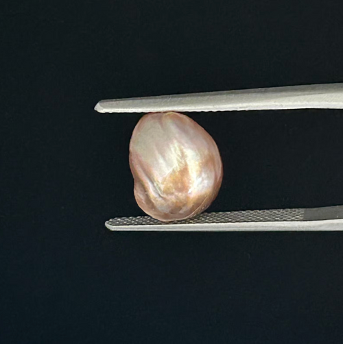 Rare Natural Pteria Penguin Pearl | Metallic Bronze Pearl | Loose Baroque for Pearl Collector | Designer One-of-a-Kind