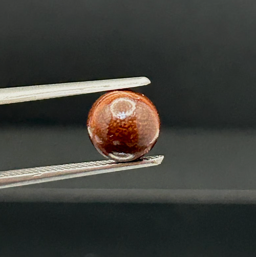 Natural Lion's Paw Scallop Pearl | Cinnamon Button Loose Pearl | Untreated Collector Pearl | Jewelry Designer |