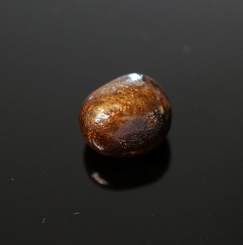 Natural Lion’s Paw Scallop Pearl | Golden Chocolate Brown Pearl | Gem Quality Natural Pearl
