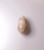 Rare Natural Spondylus Pearl | Cream Drop-Shaped Thorny Oyster Pearl | Loose Collector Gem