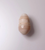 Rare Natural Spondylus Pearl | Cream Drop-Shaped Thorny Oyster Pearl | Loose Collector Gem