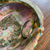 Rare Abalone Pearl on Shell, Rainbow Iridescent Home Decor