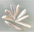 American Natural Freshwater Pearl Parcel — Petal Shapes — Mississippi River, High Luster, Collector Gemstones