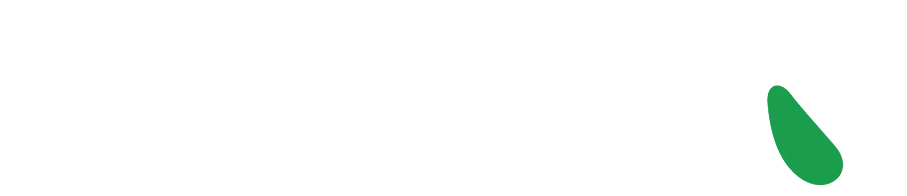 SmartQ