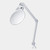 Chameleon Dimbare LED loeplamp met tafelklem