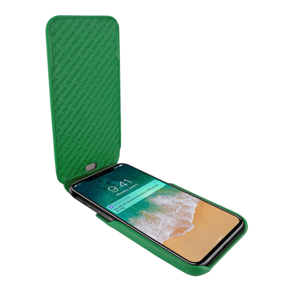 Piel Frama iPhone Xs Max iMagnum Leather Case - Green