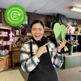 XSTANCE Insoles   2.0