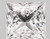 1.77 Carat Princess Lab Grown 1.77 Carat Princess Lab Grown