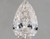 1.50 Carat Pear Diamond