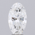 3.07 Carat Oval Lab Grown