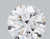 1.02 Carat Round Cut Lab Grown