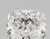 1.02 Carat Cushion Lab Grown 1.02 Carat Cushion Lab Grown