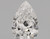 1.57 Carat Pear Lab Grown