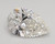 4.00 Carat Pear Lab Grown