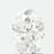 1.51 Carat Oval Lab Grown