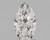 1.03 Carat Marquise Lab Grown 1.03 Carat Marquise Lab Grown