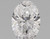 1.67 Carat Oval Lab Grown 1.67 Carat Oval Lab Grown