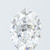3.02 Carat Oval Lab Grown